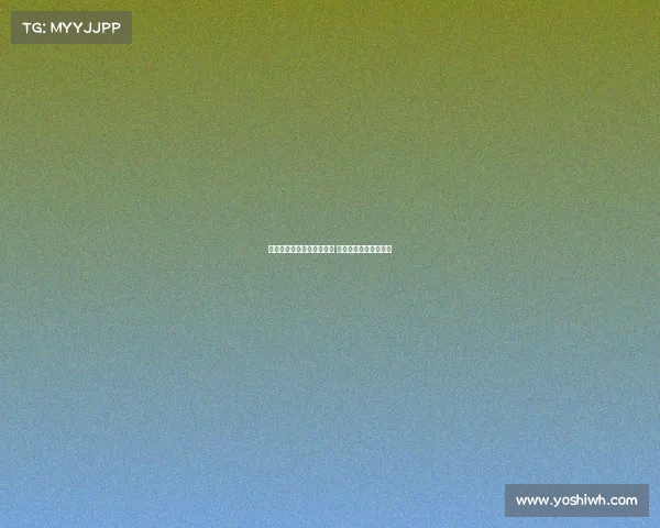 法比奥席尔瓦倾向加盟罗马 但多特报价更具吸引力